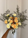 Carnation Cloud