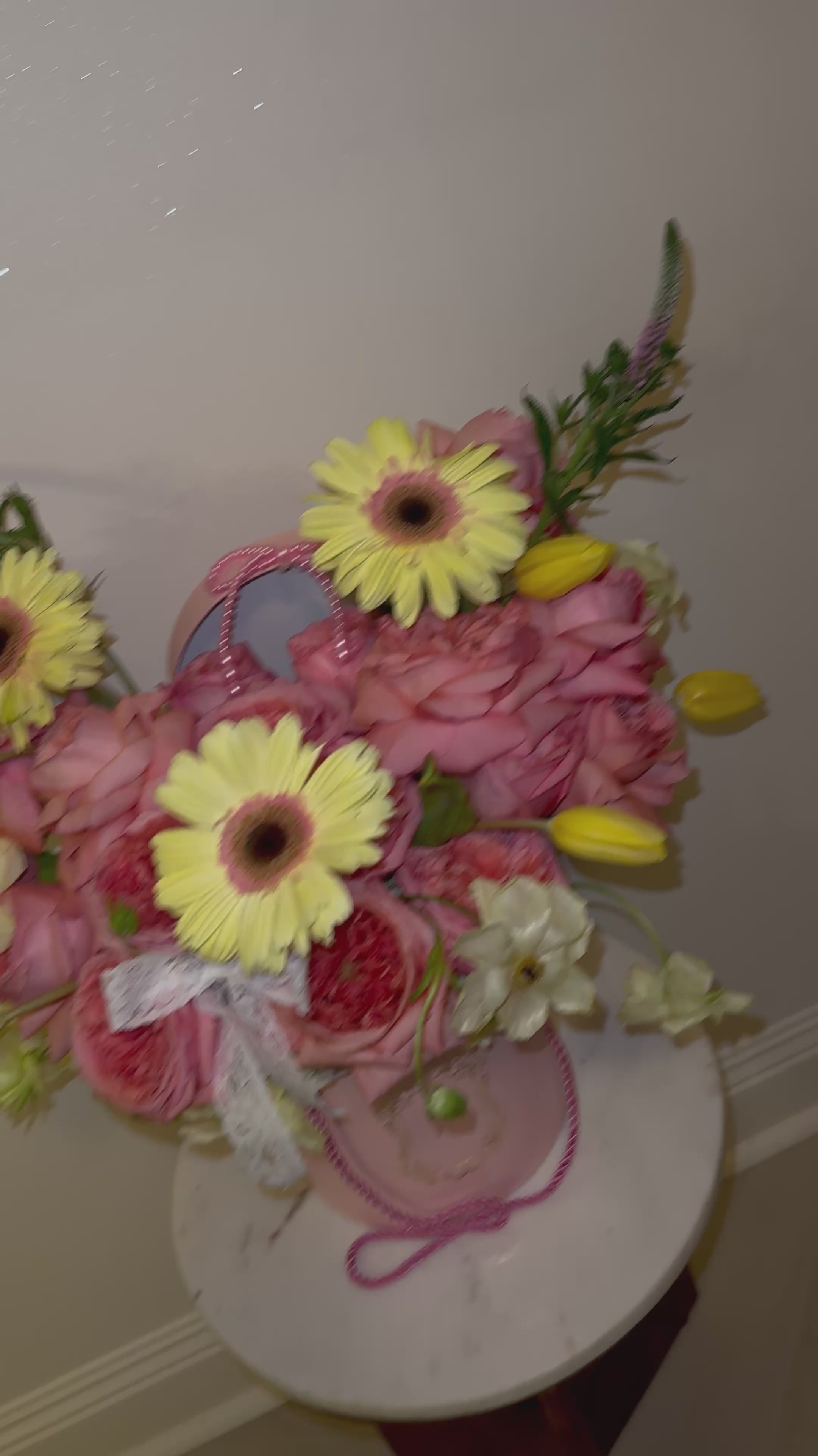 Bloomz Box